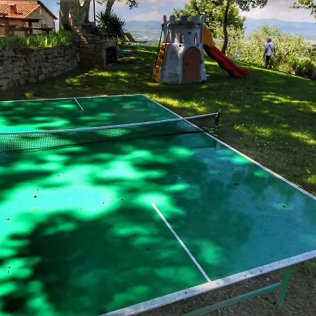 Modern In With Pool *
